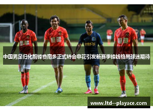 中国男足归化前锋费南多正式转会申花引发新赛季锋线格局球迷期待