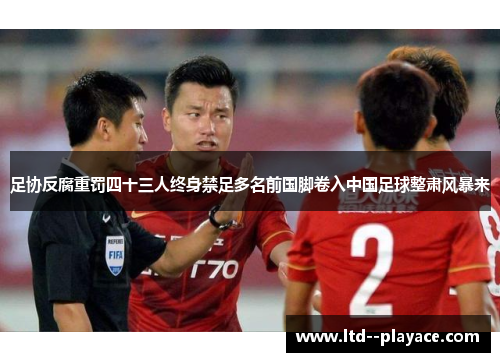 足协反腐重罚四十三人终身禁足多名前国脚卷入中国足球整肃风暴来