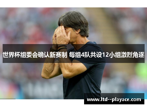 世界杯组委会确认新赛制 每组4队共设12小组激烈角逐