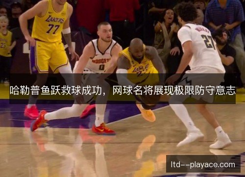 哈勒普鱼跃救球成功，网球名将展现极限防守意志